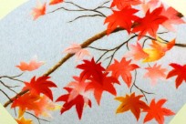 吉谷民夫 写真展 「ピカソー図鑑」 開催中